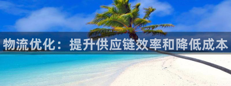 28圈口内径是多大：物流优化：提升供