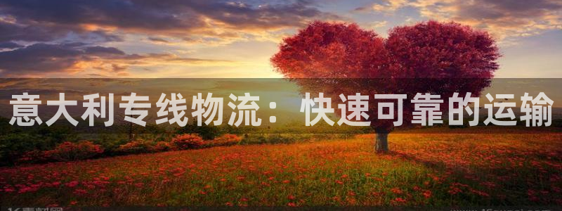 28圈正规吗：意大利专线物流：快速可