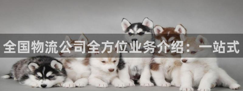 28圈注册条件：全国物流公司全方位业