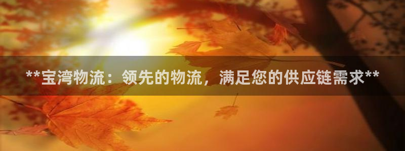 28圈娱乐官网网页：**宝湾物流：领