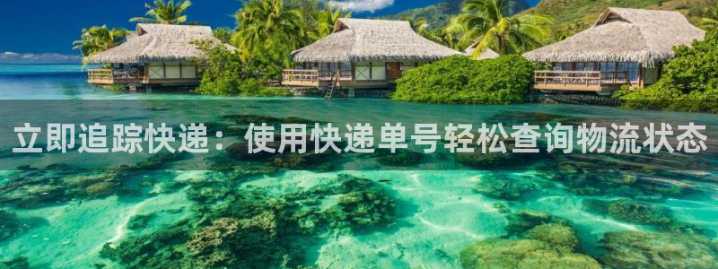 28圈怎么注册游戏名字：立即追踪快递