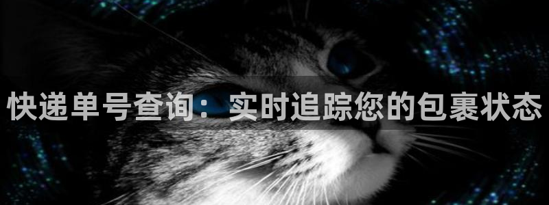 28圈提现不到账