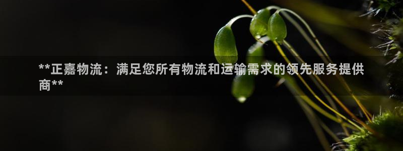 28圈怎么注册账号：**正嘉物流：满
