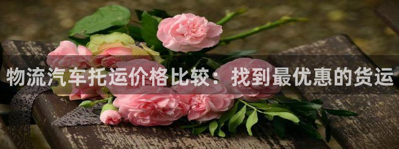 28圈链接多少：物流汽车托运价格比较