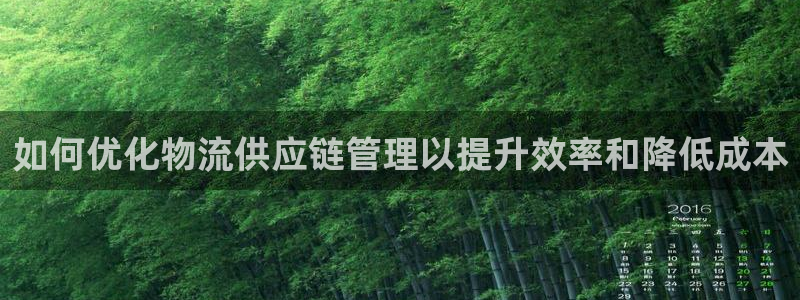 28圈注册链接入口：如何优化物流供应