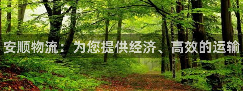 28圈官网开奖结果预测：安顺物流：为