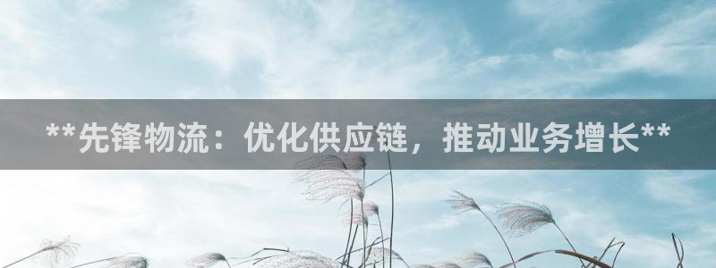 28圈怎么注册下载：**先锋物流：优
