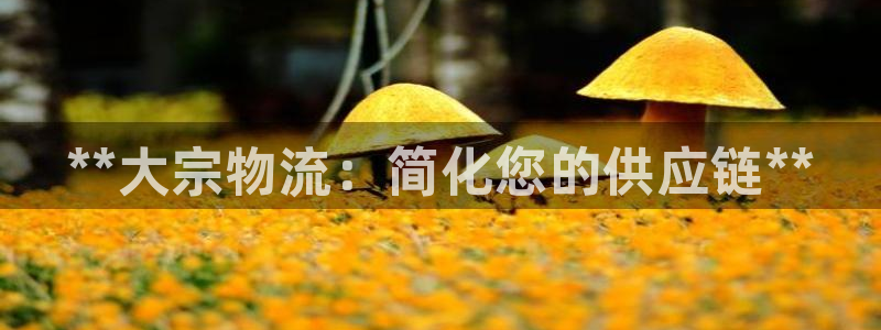28圈官网多少