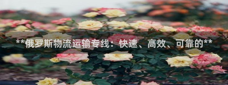 28圈登录网：**俄罗斯物流运输专线