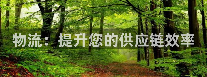 28圈反水怎么算