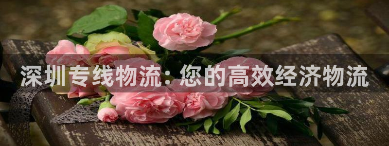 28圈注册教程：深圳专线物流: 您的