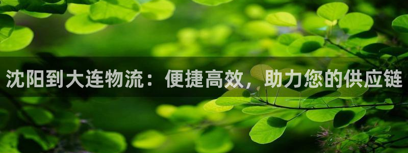 28圈aPP退款