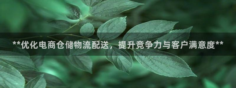 28圈客服一直不回消息怎么办