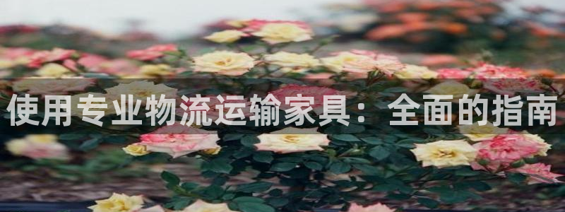 28圈女王中奖记录查询