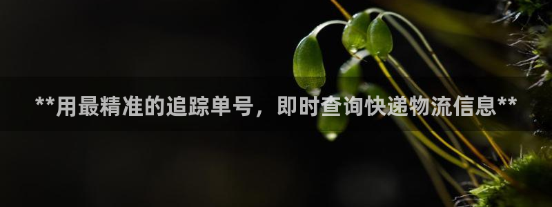 28圈官网预测