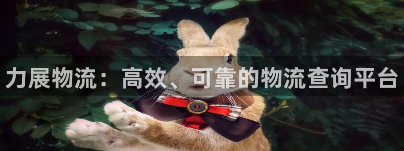 28圈软件总是闪退怎么回事