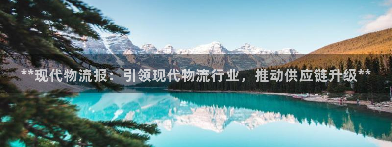 28圈p扣款什么意思