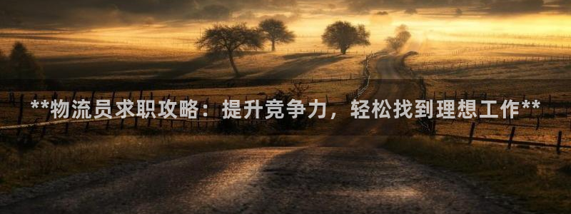 28圈在线预测官网