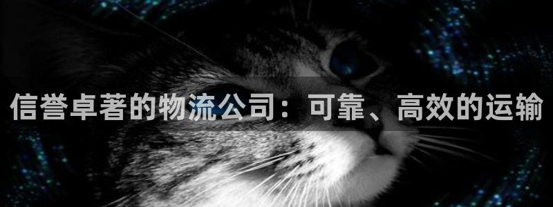 28圈反水怎么算
