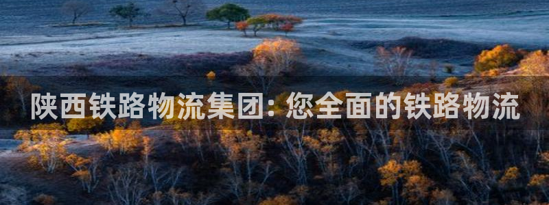 28圈加拿大6.0