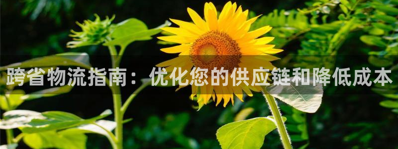 28圈链接多少