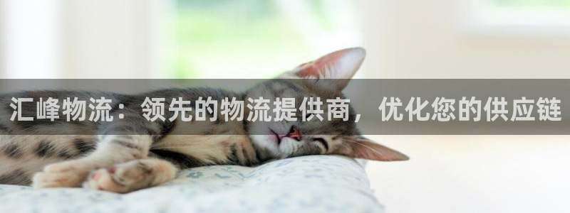 28圈黑平台吗