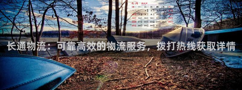 28圈模拟器在线玩：长通物流：可靠高