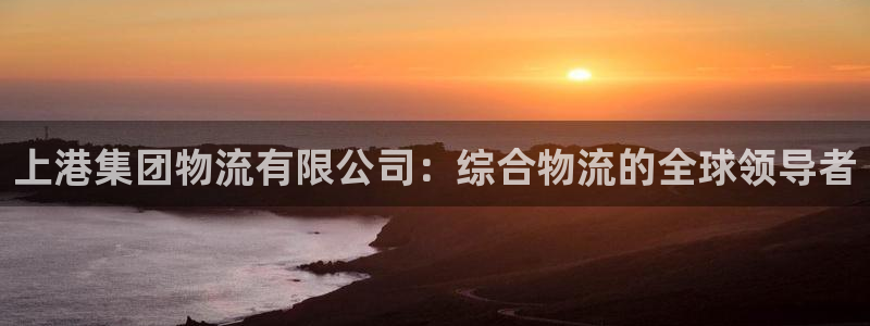 28圈注册网站：上港集团物流有限公司