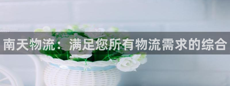 28圈怎么下载教程：南天物流：满足您