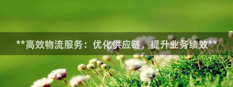 南宫28圈官网版：**高效物流服务：