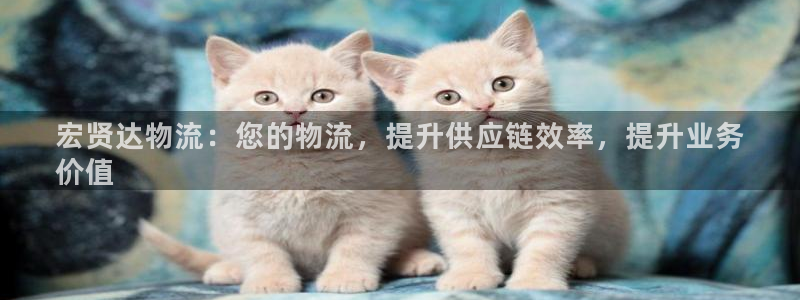 28圈PG电子游戏