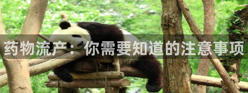 28圈预测网：药物流产：你需要知道的
