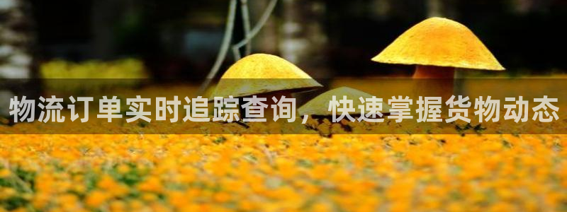 28圈软件：物流订单实时追踪查询，快