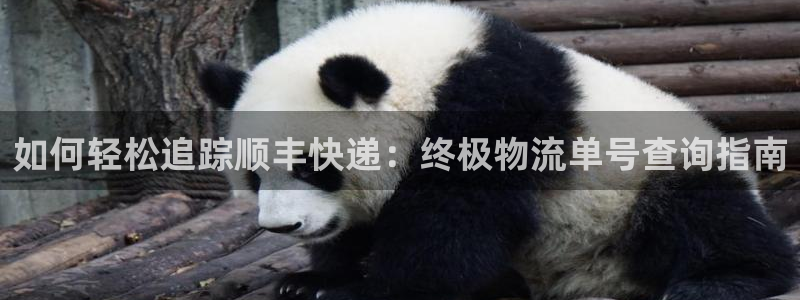 28圈网站平台是多少：如何轻松追踪顺