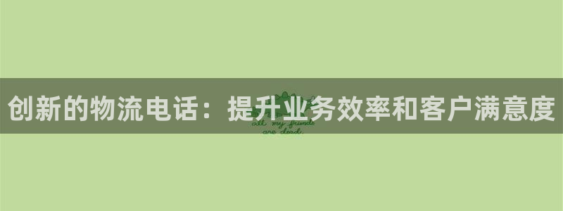 加拿大28圈是什么：创新的物流电话：