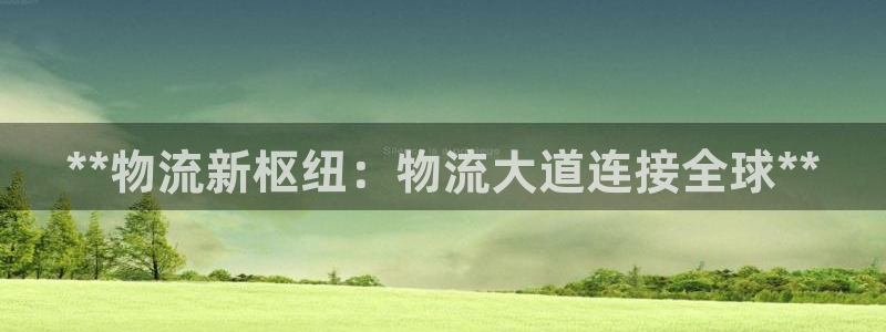 28圈退款：**物流新枢纽：物流大道