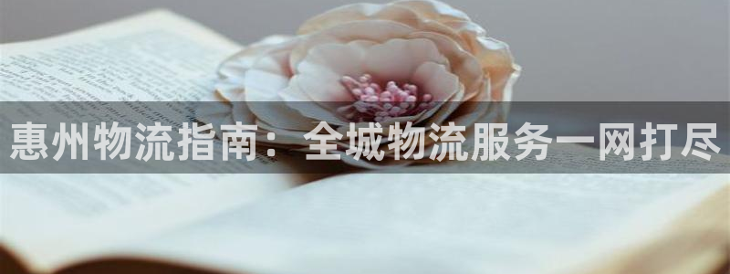 28圈龙虎：惠州物流指南：全城物流服