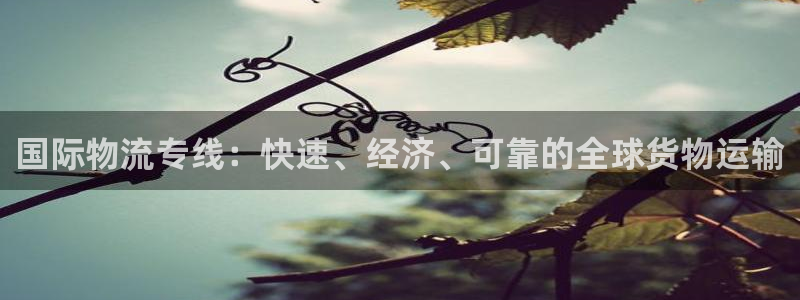 28圈如何退款：国际物流专线：快速、