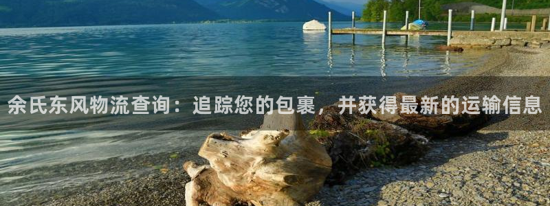28圈电子：余氏东风物流查询：追踪您