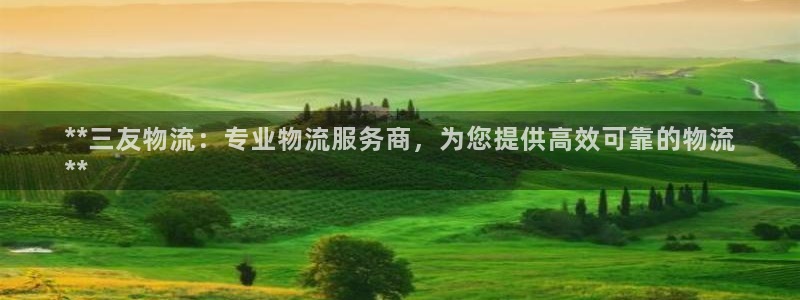 28圈注册网站链接：**三友物流：专