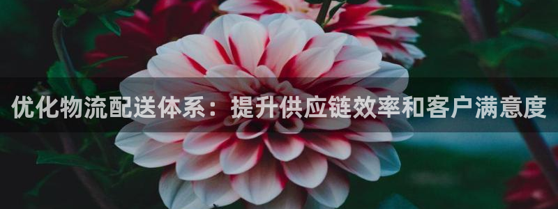 28圈怎么下载教程：优化物流配送体系
