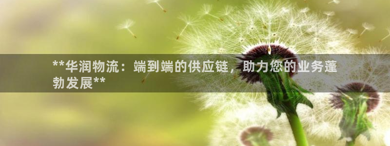 28圈百度百科：**华润物流：端到端