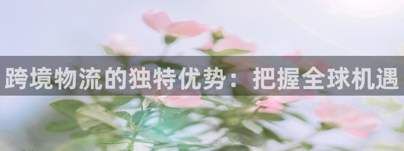 28圈选28ng官网：跨境物流的独特