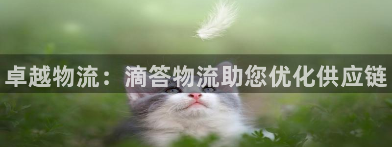 28圈机器人是什么软件：卓越物流：滴