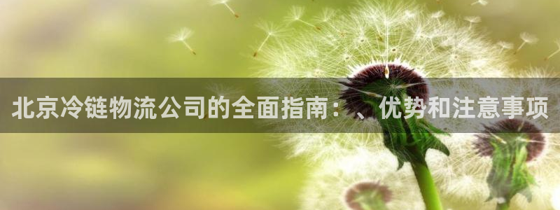 28圈加拿大预测