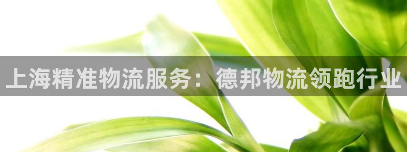 28圈怎么下载教程：上海精准物流服务