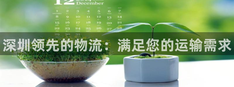 28圈充值为什么充不了