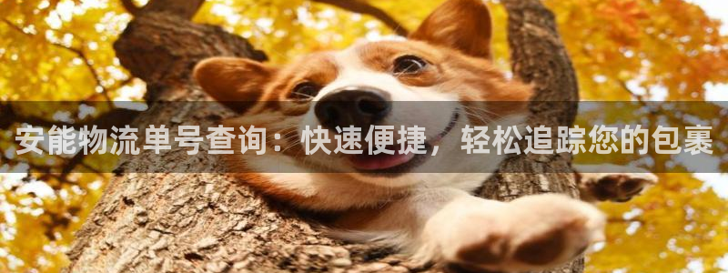 28圈加拿大技巧