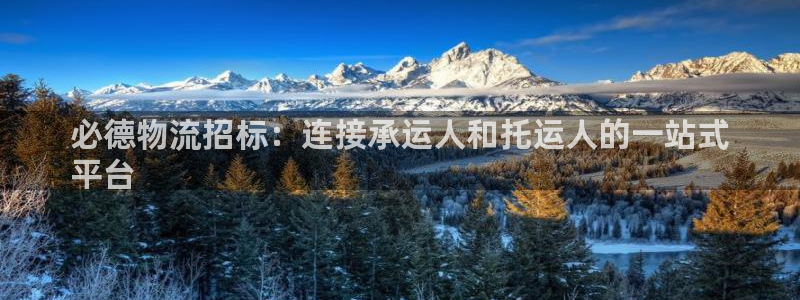 28圈加拿大开奖：必德物流招标：连接