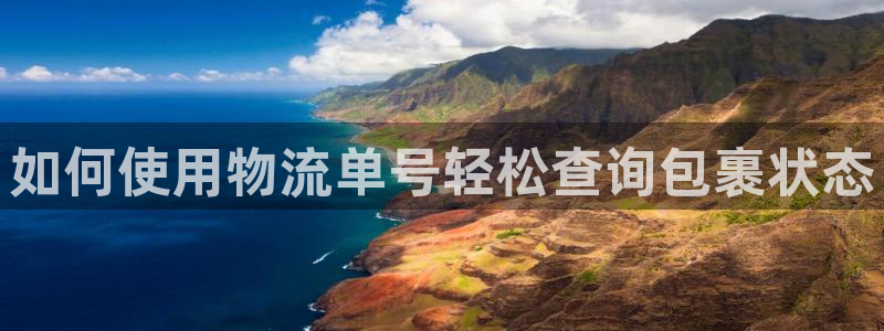 28圈圈助手：如何使用物流单号轻松查